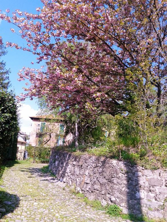 La Ca Del Menec Daire Lierna Dış mekan fotoğraf